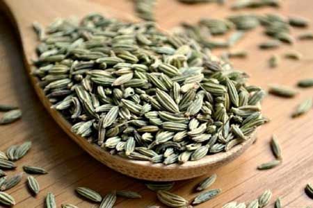 تاثیر قابل توجه گیاه رازیانه در درمان عفونت کرونا
