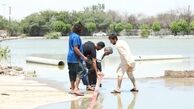 از مناطق سیل‌زده جنوب چه خبر ؟