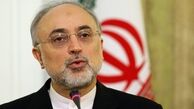 صالحی: خرید راکتور استوک بلغارستانی صحت ندارد