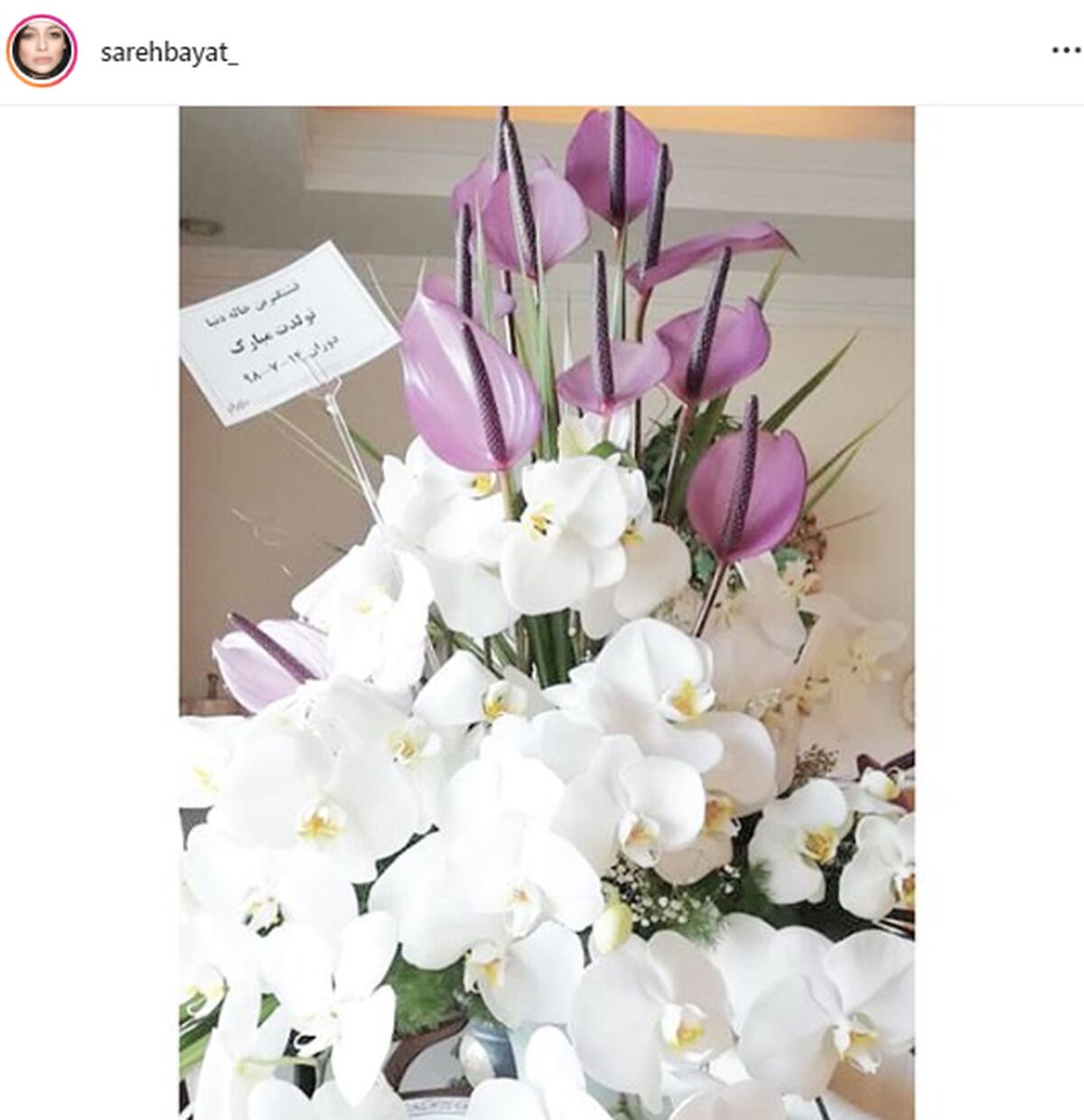 هدیه پسر رضا قوچان نژاد برای خانم بازیگر+عکس