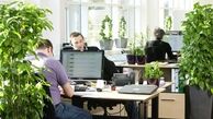 تاثیر گل و گیاه در افزایش بازدهی فعالیت در محیط کاری