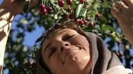 حال خوش سحر ولدبیگی زیر درخت آلبالو + عکس