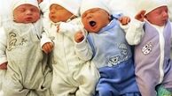 جزئیات جدید عرضه شیرخشک‌های رژیمی
