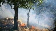 آتش‌سوزی جنگل‌های بلوط در شهرستان پل‌دختر