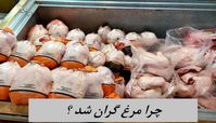 چرا مرغ گران شد ؟