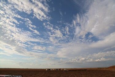 resized_7902_485