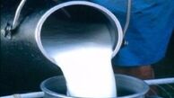 واکنش حجتی به واردات شیرخشک برای تولید شیر