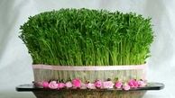 نحوه درست کردن سبزه عید