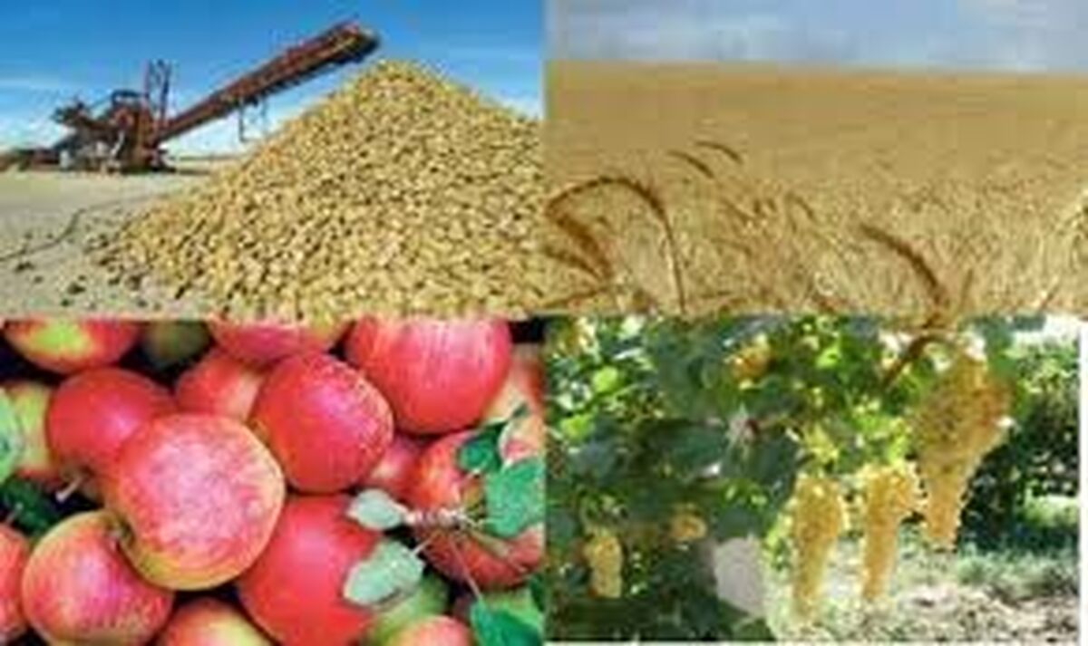 افزایش بهره‌وری و توسعه کشاورزی با مشارکت بخش خصوصی امکان پذیر است