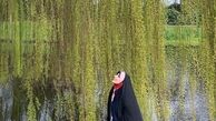 بید مجنون های خانم مجری + عکس