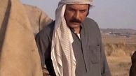 حسام‌منظور در دل بیابان + عکس