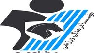 پیکان هافبک برزیلی گرفت