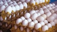 قیمت تخم مرغ دوباره پر کشید
