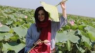 خانم شاعر در مرداب بسیار رویایی انزلی+عکس