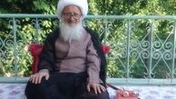 سوءاستفاده تفرقه‌انگیزان از جایگاه مرجعیت شیعه