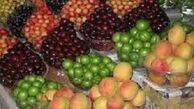آخرین تحولات بازار میوه