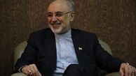 روایت صالحی از مذاکره با تیم آمریکایی‌