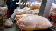 قیمت مرغ دو برابر شد !