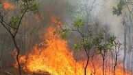  احتمال خطر آتش‌سوزی در جنگلهای مناطق شمالی کشور