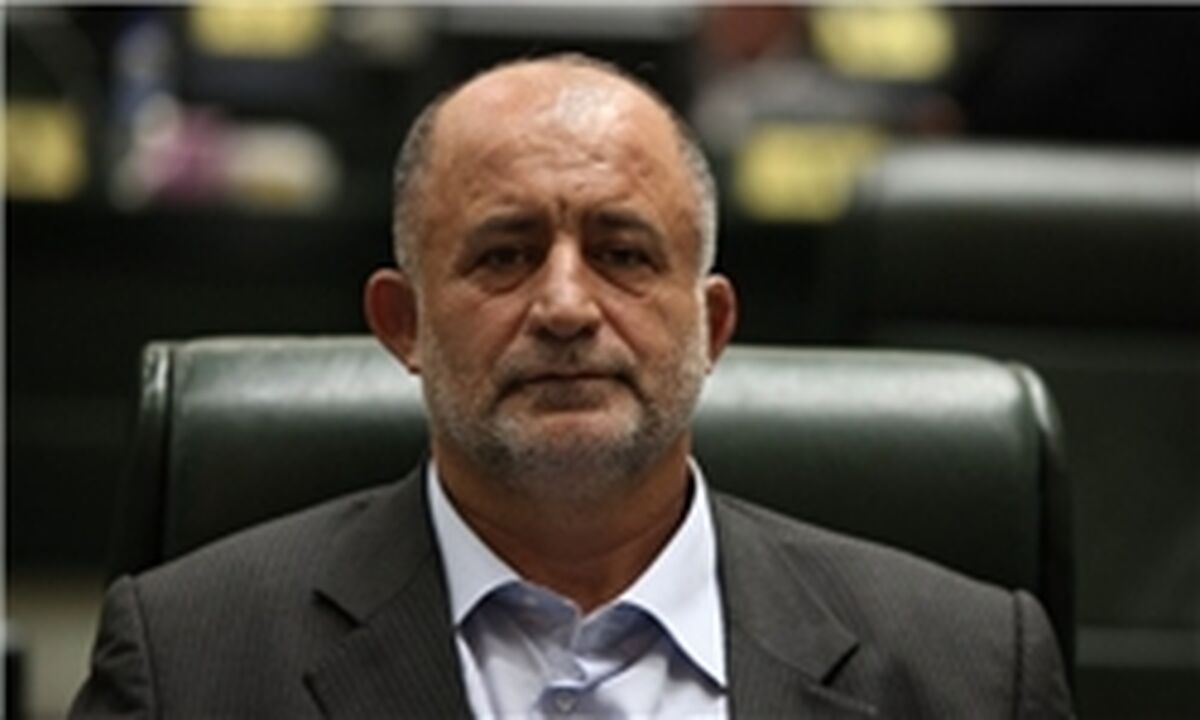 قاضی پور:اصرار دولت روحانی به اجرای 2030 خلاف قانون است