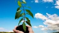 محکومیتی که منجر به استخدام شد