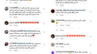 واکنش جنجالی طنز کاربران به مرگ گربه هانیه توسلی/عکس