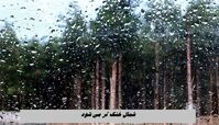 شمال خنک تر می شود