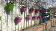 850 گلدان از معابر اردبیل به سرقت رفته است