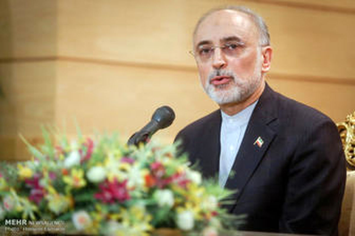 پیشنهاد صالحی به وزیر خارجه مجارستان