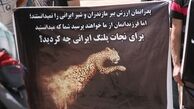 خانم ابتکار! کاهش ۴۵ درصدی تلفات پلنگ دروغ است
