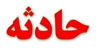 حمله پلنگ گرسنه به گله گوسفندان
