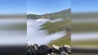 آشنایی با رؤیایی‌ترین جاده جنگلی ایران+ فیلم 