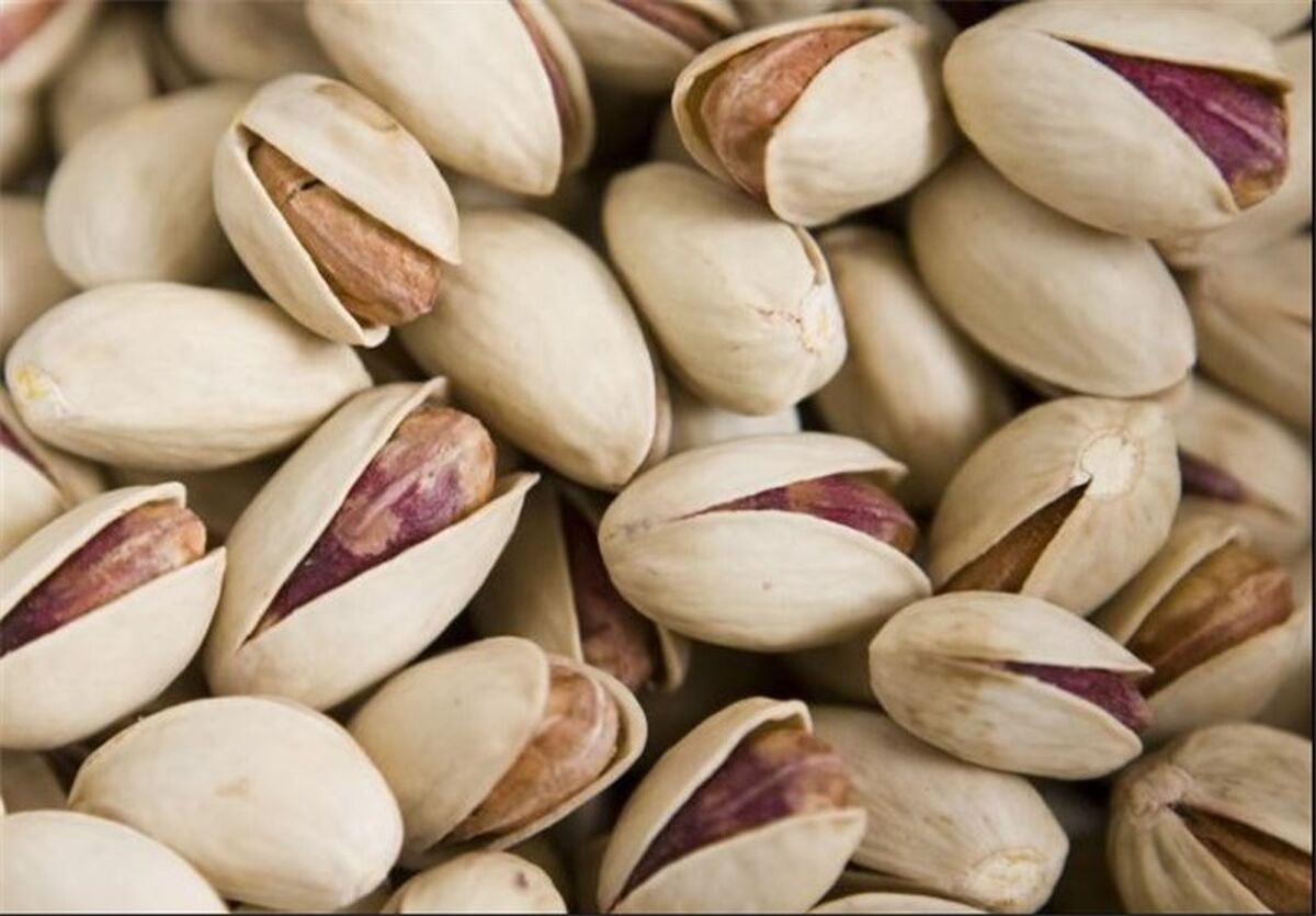 پسته در صدر خشکبار صادر می‌شود