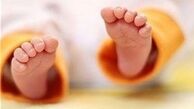 جزئیات جدید از عرضه شیرخشک