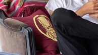 گربه خانگی امیرمهدی ژوله + عکس