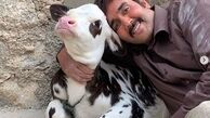 حیوان مظلوم دوست داشتنی پوریا پورسرخ + عکس