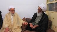 دیدار آیت‌الله جنتی با یکی از مراجع تقلید نجف
