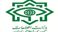 وزارت اطلاعات:سرنخ‌هایی از عوامل ترور شهید فخری‌زاده به دست آمده است
