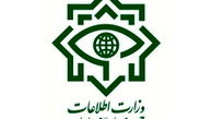 تکذیب خبر حمایت وزیر اطلاعات از یک کاندیدا