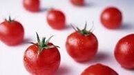 
تصویری دیدنی از گوجه‌های سرخ+ عکس
