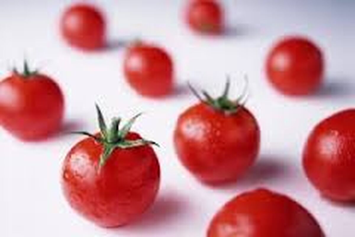 خواصی از گوجه فرنگی که نمی‌دانستید