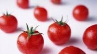پرورش گوجه‌ فرنگی در منزل
