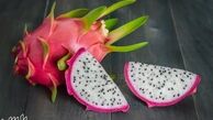 آشنایی با خواص میوه اژدها برای سلامت بدن و تقویت سیستم ایمنی