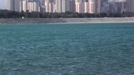 ماهی سرسوسماری در دریاچه چیتگر+فیلم