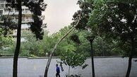 وزش باد گرم در گیلان