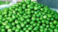 گوجه‌سبز هفته آینده ارزان می‌شود