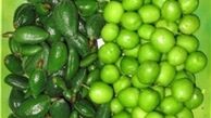 گوجه سبزهایی که نباید مصرف شوند