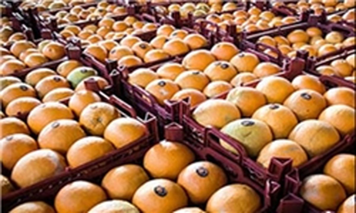 دم خروس را باور کنیم یا سخن آقای وزیر را!