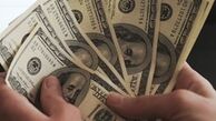 دوام تصمیمات دولت ضامن شفاف‌سازی بازار ارز