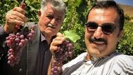 باغ میوه پر محصول آقای بازیگر + عکس
